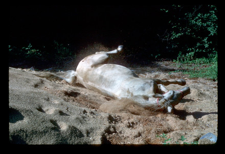 Slide920.jpg